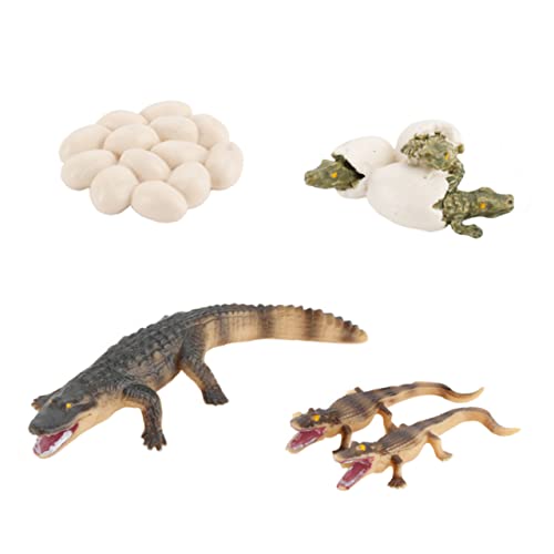 Supvox 1 Set Wachstumszyklus Kinderspielzeug Wespe Alligator Miniatur Tierspielzeug Dinosaurier Insekten Tier Lernspielzeug Eidechsenwelt Frösche Tier Tischroboter PVC Supvox 1 Set Wachstumszyklus Kinderspielzeug Wespe Alligator Miniatur Tierspielzeug Dinosaurier Insekten Tier Lernspielzeug Eidechsenwelt Frösche Tier Tischroboter PVC von Supvox