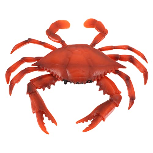 Supvox 1 Stück Mini Meereslebewesen Modell Realistische Krabbe Interaktives für Dekorativ für Schreibtisch für Lernspiele und Deko Am Strand Supvox 1 Stück Mini Meereslebewesen Modell Realistische Krabbe Interaktives für Dekorativ für Schreibtisch für Lernspiele und Deko Am Strand von Supvox