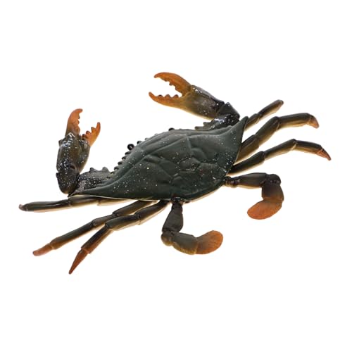Supvox 1 Stück Simulation Krabbe Lernspielzeug Meerestiere Modell Lernspielzeug Meerestiere Tiere Modelle Lernspielzeug Krabbenmodell Kunststoff von Supvox