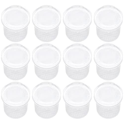 Supvox 12Stücke Insektenbeobachtungsboxen Mit Vergrößerung Multifunktionale Critterboxen Für Insektenversorgung Für Naturbeobachtungen Und Experimentierungen Supvox 12Stücke Insektenbeobachtungsboxen Mit Vergrößerung Multifunktionale Critterboxen Für Insektenversorgung Für Naturbeobachtungen Und Experimentierungen von Supvox