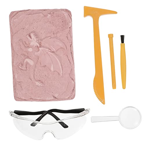 Supvox 1Satz DIY Dinosaurier Ausgrabungs Dinosaurier Fossilien Grabset Für Graben Von Dinosaurierknochen Lernspielzeug Für Kleine Dinosaurier Fans von Supvox