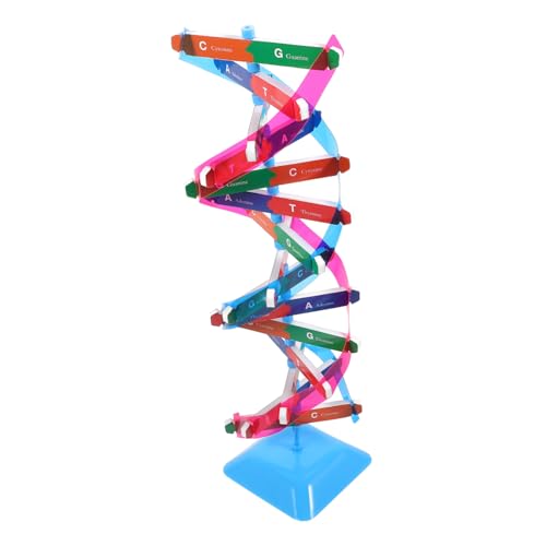 Supvox 1Satz DNA Modell Bausatz DIY Doppelhelix Struktur Wissenschaftliches Lehrinstrument Für Biologieunterricht Interaktives Lernspielzeug Für Sicheres Und Leichtes Material von Supvox