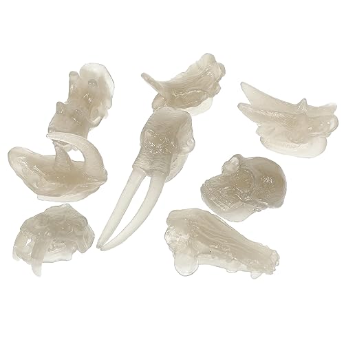 Supvox 1Satz Dinosaurier Schädelmodelle Leuchtende Tierkopf Fossilien Für Kinderspielzeug Und Desktop Für Kreative Spielstunden Dino Land Supvox 1Satz Dinosaurier Schädelmodelle Leuchtende Tierkopf Fossilien Für Kinderspielzeug Und Desktop Für Kreative Spielstunden Dino Land von Supvox