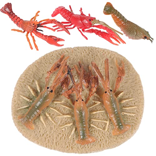 Supvox 1Satz Hummer Wachstumsmodell Teiliges Lernspielzeug Für Hummer Lebenszyklus Modell Pädagogisches Tiermodell Kognitiven Fähigkeiten Supvox 1Satz Hummer Wachstumsmodell Teiliges Lernspielzeug Für Hummer Lebenszyklus Modell Pädagogisches Tiermodell Kognitiven Fähigkeiten von Supvox