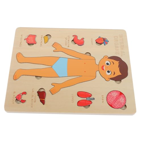 Supvox 1Satz Menschliche Puzzle Für Lernspielzeug Körperkenntnis Und Spielerischen Bildung Für Jungen Und Jahren Supvox 1Satz Menschliche Puzzle Für Lernspielzeug Körperkenntnis Und Spielerischen Bildung Für Jungen Und Jahren von Supvox