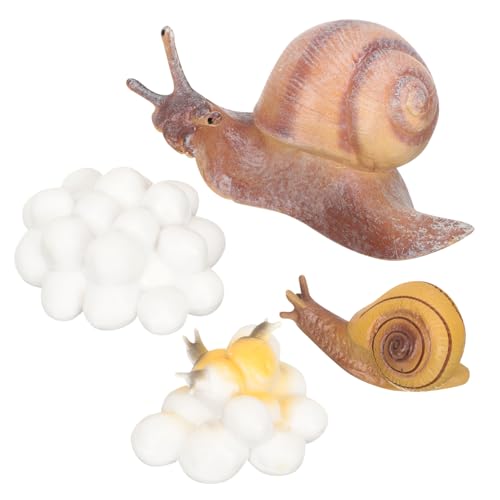 Supvox 1Satz Tierlebenszyklus Modelle Tierfiguren Für Lernspielzeug Kognitiven Entwicklung Teiliges Mit Schnecke Und Huhn Für Frühkindliche Bildung von Supvox