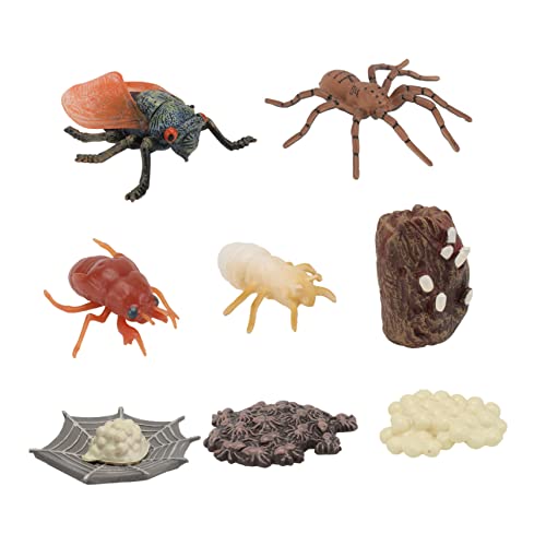 Supvox 2sätze Imitation Insektenwachstumszyklus Modelle Für Junge Mädchen Lehrmittel Und Spielzeug Naturerkennung Und Kognitiven Fähigkeiten Für Frühkindliche Bildung Und Erkundung von Supvox