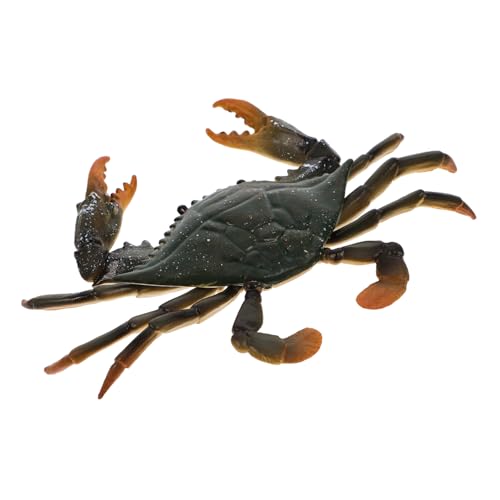Supvox 2 Stck Realistisches Krabbenmodell aus Sicherem Pädagogisches Lernspielzeug Detailreiches Krabbenmodell Kreativität und Kognitiven Entwicklung von Supvox