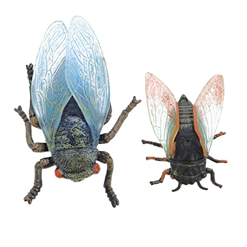 Supvox 2 Stück Mini Zikaden Modell Dekoration Realistische Zikaden Figuren für Party und Lernspielzeug Simulation von Insekten für Kreative Projekte und Heimdekoration von Supvox