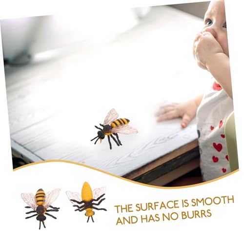 Supvox 2 Stück Realistische Honigbienen Figuren Detailgetreue Insektenmodell Tiere aus Kindersicherem Umweltfreundlichem Material Pädagogisch für Naturkunde für Geburtstag Supvox 2 Stück Realistische Honigbienen Figuren Detailgetreue Insektenmodell Tiere aus Kindersicherem Umweltfreundlichem Material Pädagogisch für Naturkunde für Geburtstag von Supvox