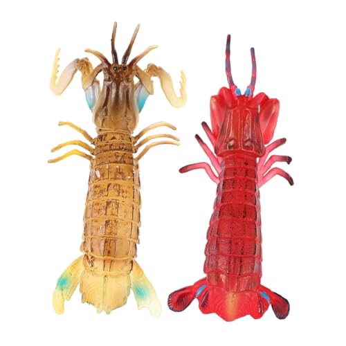 Supvox 2 Stück Tiermodell Mantis Garnelen Lebendige Dekoration für Interaktives Lernen und Spaß für Kleine und Bildungszwecke von Supvox