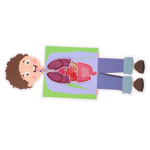Supvox Spielzeug Für Jungen Und Mädchen 2er-Pack Experimentierset Für Menschliche Organe Für Kinder von Supvox