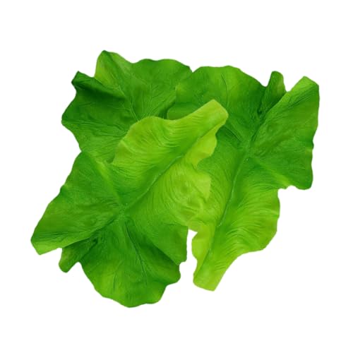 Supvox 3 Stück Salatblattmodell Requisiten Für Die Gemüsefotografie Simulation Salatblatt Simulation Gemüseblatt Simuliertes Salatblattdekor Lebensechter Salatschmuck Plastik Green Supvox 3 Stück Salatblattmodell Requisiten Für Die Gemüsefotografie Simulation Salatblatt Simulation Gemüseblatt Simuliertes Salatblattdekor Lebensechter Salatschmuck Plastik Green von Supvox