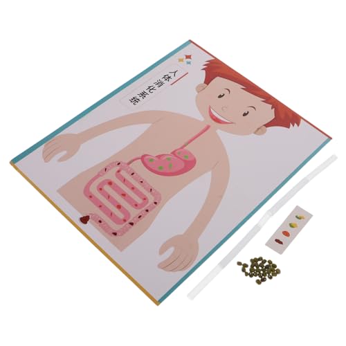 Supvox 4 Sätze DIY Modell für Wissenschaftliches Experimentierset Interaktives Lernspielzeug Kreative Bastelmaterialien für Schule und Frühpädagogik Supvox 4 Sätze DIY Modell für Wissenschaftliches Experimentierset Interaktives Lernspielzeug Kreative Bastelmaterialien für Schule und Frühpädagogik von Supvox