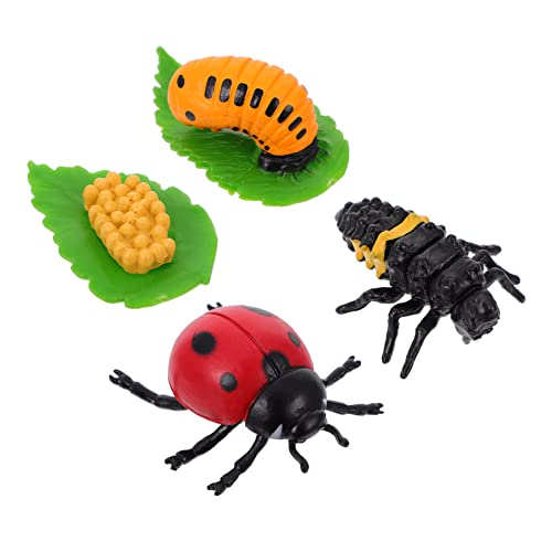 Supvox 4Stücke Teiliges Lebenszyklus Modell Lustiges Kinderspielzeug Kreativität für Lernzwecke Dekoration für Kinderzimmer Supvox 4Stücke Teiliges Lebenszyklus Modell Lustiges Kinderspielzeug Kreativität für Lernzwecke Dekoration für Kinderzimmer von Supvox