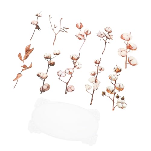 Supvox 5 Pflanzenaufkleber Bastelaufkleber Zum Selbermachen Bunte Aufkleber Geschenkaufkleber Selber Machen DIY-Scrapbooking-Aufkleber Dekorativer Aufkleber Das Haustier Supvox 5 Pflanzenaufkleber Bastelaufkleber Zum Selbermachen Bunte Aufkleber Geschenkaufkleber Selber Machen DIY-Scrapbooking-Aufkleber Dekorativer Aufkleber Das Haustier von Supvox