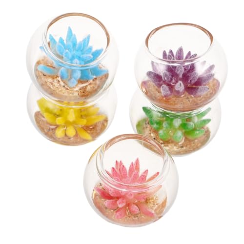 Supvox 5 Stück Teiliges Miniatur Künstliche Sukkulenten in Pflanzgefäßen Bunte Mini Pflanzen für Puppenhausdeko Vielseitige Mikrolandschaft Mini Bonsai für Kreative DIY Projekte Supvox 5 Stück Teiliges Miniatur Künstliche Sukkulenten in Pflanzgefäßen Bunte Mini Pflanzen für Puppenhausdeko Vielseitige Mikrolandschaft Mini Bonsai für Kreative DIY Projekte von Supvox