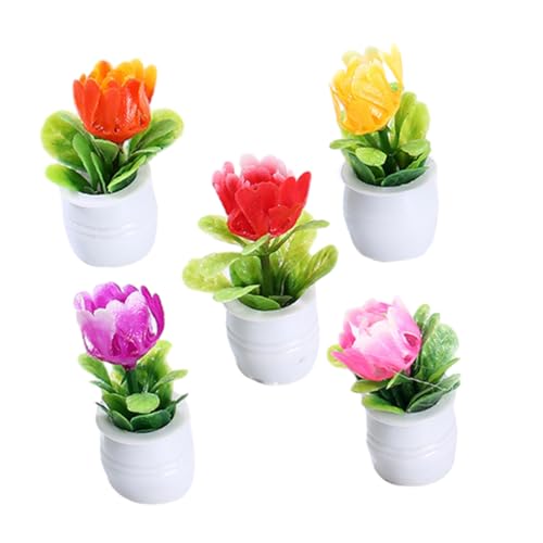 Supvox 5Stücke Teiliges Bonsai Pflanzen Dekoration Für Puppenhaus Realistische Topfpflanzen Für Miniaturgärten Und Wohnaccessoires Für Kreative Spielwelten Supvox 5Stücke Teiliges Bonsai Pflanzen Dekoration Für Puppenhaus Realistische Topfpflanzen Für Miniaturgärten Und Wohnaccessoires Für Kreative Spielwelten von Supvox