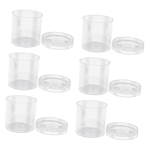Supvox 6 Stück Teiliges Insektenbeobachtungsset Transparente Sammelbehälter mit Vergrößerung für Biologische Experimente für Naturentdecker Supvox 6 Stück Teiliges Insektenbeobachtungsset Transparente Sammelbehälter mit Vergrößerung für Biologische Experimente für Naturentdecker von Supvox