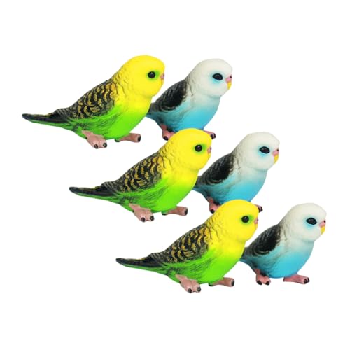 Supvox 6 Stück Teiliges Kleine Papagei Modellfiguren aus Kunststoff Realistisch Gestaltet Robustes Vogelspielzeug für Drinnen und Draußen Lernhilfe und Deko von Supvox