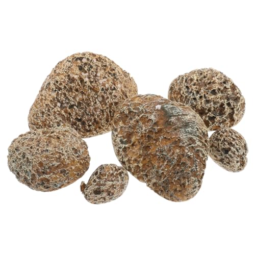 Supvox 6pcs Künstliche Rockery Stones Gefälschte Steinverzierungen Für Gartenlandschaft Und Gartendekor Realistische Rock Für DIY -projekte Und Blumenpotsteindekoration Supvox 6pcs Künstliche Rockery Stones Gefälschte Steinverzierungen Für Gartenlandschaft Und Gartendekor Realistische Rock Für DIY -projekte Und Blumenpotsteindekoration von Supvox