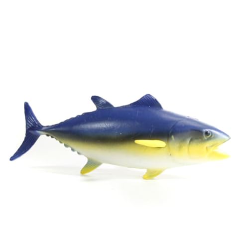 Supvox Blauflossentuna Spielzeugfigur Für Realistische Dekoration Und Lernspielzeug Für Party Und Tägliches Sicheres Und Langlebiges Material Geschenkidee Supvox Blauflossentuna Spielzeugfigur Für Realistische Dekoration Und Lernspielzeug Für Party Und Tägliches Sicheres Und Langlebiges Material Geschenkidee von Supvox