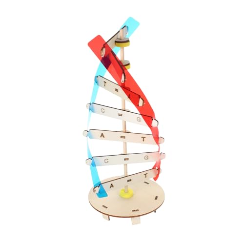 Supvox DIY DNA Modell Doppelhelix Holz Wissenschaft Lernspielzeug Bildungsset Anschauliches Experiment Wissenschaftsunterricht Dekoration von Supvox