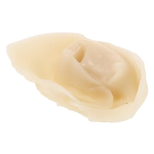 Supvox Gefälschte Lebensmittel Modell Lebensechte Dekoration Gefälschte Dekoration Gefälschte Lebensmittel Realistische Simulation Party Requisite Künstliche Requisite Beige Supvox Gefälschte Lebensmittel Modell Lebensechte Dekoration Gefälschte Dekoration Gefälschte Lebensmittel Realistische Simulation Party Requisite Künstliche Requisite Beige von Supvox