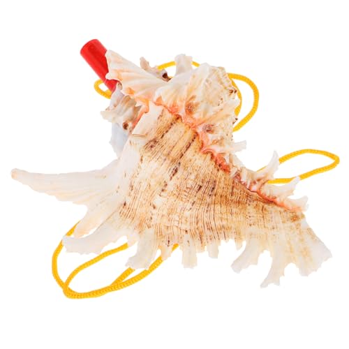 Supvox Großes Natürliches Meeresmuschel Horn Conch Shell Trompete Klarer Klang Dekoratives Reise Partyspielzeug für Tourismus von Supvox