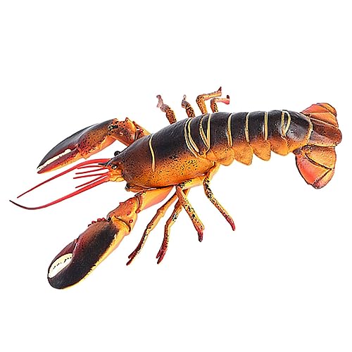 Supvox Hummer-Modell hühner Educational Toys Tierfigur für Aquarium Tierfigur für Kinderzimmer Seegelle realistische Modelle Tiere lebensechte Hummerstatue Hummer Figur Plastik Supvox Hummer-Modell hühner Educational Toys Tierfigur für Aquarium Tierfigur für Kinderzimmer Seegelle realistische Modelle Tiere lebensechte Hummerstatue Hummer Figur Plastik von Supvox