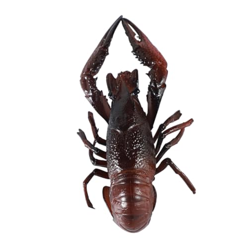 Supvox Krebsmodell Stütze Lebensechter Hummer Simulation Künstlicher Hummer Display-Requisite Hummer-skulptur Künstliches Meeresfrüchtemodell Hummer Figur Party PVC Supvox Krebsmodell Stütze Lebensechter Hummer Simulation Künstlicher Hummer Display-Requisite Hummer-skulptur Künstliches Meeresfrüchtemodell Hummer Figur Party PVC von Supvox