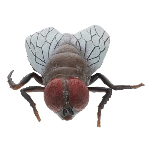 Supvox Lebensechtes Insektenmodell Realistische Fliegen Spielzeuge für Kognitive Streichspielzeug zu Halloween und April Fool's Day zur Raumdekoration für Kreative Feiertagsgestaltungen Supvox Lebensechtes Insektenmodell Realistische Fliegen Spielzeuge für Kognitive Streichspielzeug zu Halloween und April Fool's Day zur Raumdekoration für Kreative Feiertagsgestaltungen von Supvox
