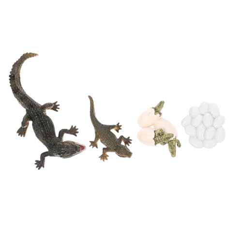 Supvox Lebensechtes Krokodil Wachstumszyklus Modell Teiliges Lernspielzeug für Vorschule Frühpädagogik Tierfiguren zur Naturerforschung und Kreativspiel Supvox Lebensechtes Krokodil Wachstumszyklus Modell Teiliges Lernspielzeug für Vorschule Frühpädagogik Tierfiguren zur Naturerforschung und Kreativspiel von Supvox