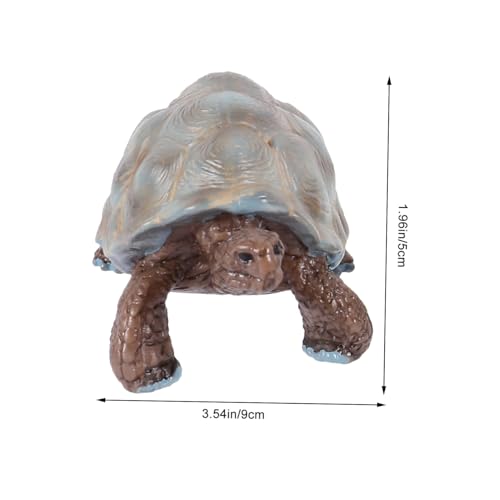 Supvox Lebenszyklus Schildkröten Modellset Lernspielzeug Pädagogisch Tierwachstum Dekoration Geschenk Lernhilfe von Supvox