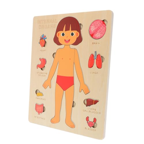 Supvox Lernspielzeug Human Organe Puzzle Montessori Bausteine für Jungen Mädchen Ab Jahren Pädagogisches Frühförderungsspielzeug zur Körperorgane Erkennung und Motorikentwicklung von Supvox