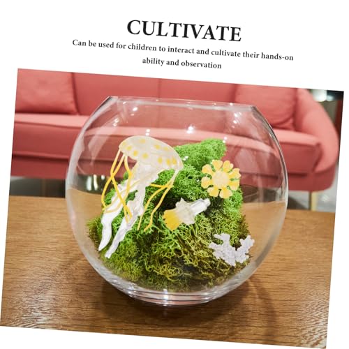 Supvox Lernspielzeug Quallen Lebenszyklus Modell Meerestiere Figur Vorschul Wissenschaftsset für Kognitive Entwicklung und Aquarium Dekoration von Supvox