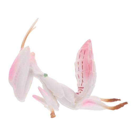 Supvox Mantis Figur Kunststoff Insekten Modell Lernspielzeug für Schule Kindergarten Desktop Dekoration Pädagogisches Insektenspielzeug von Supvox