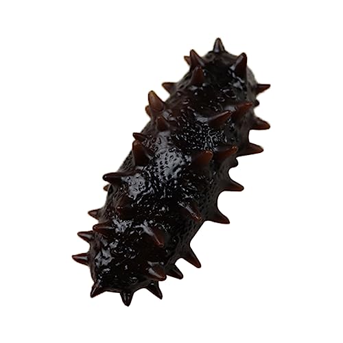 Supvox Meeresgurkenmodell Simulation Seegurkenmodell Seegurken-Modell Lebensechte Gefälschte Meeresfrüchte Food -Requisiten Display Gefälschte Seegurke Meeresgurkenfigur PVC Kaffee von Supvox