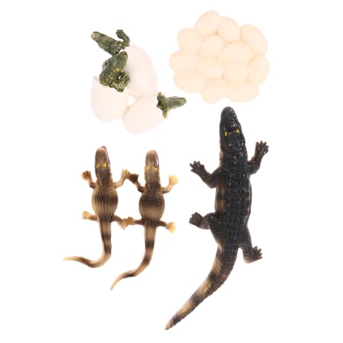 Supvox Mini Meerestiere Lebenszyklus Spielset Simulation Tiermodelle Lernspielzeug Umweltfreundlich Langlebig Pädagogisch Geeignet für Jungen und Mädchen von Supvox