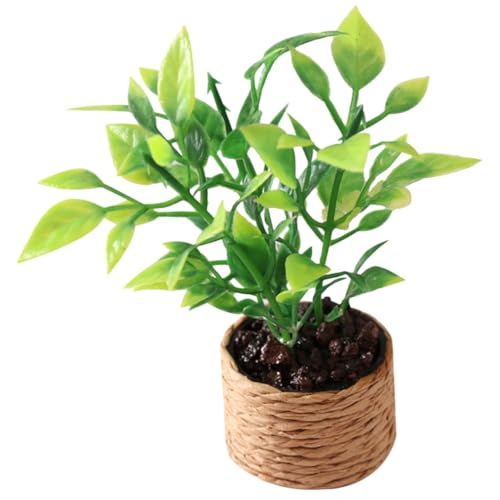 Supvox Mini-Orangenbaum winzig Kind Toys hühner Modellbau Toys for Children Toys Kleiner Bonsai Kleiner Pflanzentopf Miniatur-Blumentopf Miniatur Bonsai Plastik von Supvox