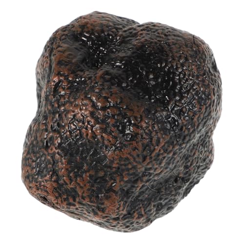 Supvox Modell mit schwarzem Trüffel Gemüse Lernspielzeug für Lebensmittel Erkennung Kinderzubehör Lebensmittelspielzeugsimulation Plastik Black Supvox Modell mit schwarzem Trüffel Gemüse Lernspielzeug für Lebensmittel Erkennung Kinderzubehör Lebensmittelspielzeugsimulation Plastik Black von Supvox