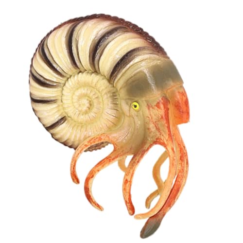 Supvox Nautilus Modell für Kinder Simuliertes Meeres Tiermodell Realistisches Nautilus Spielzeug Umweltbewusstsein Kognitives Lernspielzeug Plastik Sicher und Langlebig von Supvox