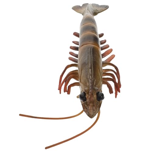 Supvox Pädagogisches Shrimp Kunststoff Realistische Simulation Lernspielzeug für Haushalt Lernspielzeug Meerestiere Figur Dekoration Kinderaccessoire Supvox Pädagogisches Shrimp Kunststoff Realistische Simulation Lernspielzeug für Haushalt Lernspielzeug Meerestiere Figur Dekoration Kinderaccessoire von Supvox