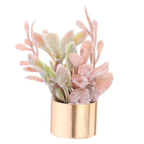 Supvox Puppenhaus Blumentopf Kunstpflanze Pflanzen Deko Kleine Künstliche Sukkulenten Miniatur Bonsai Gefälschte Sukkulenten in Töpfen Klein Eingetopfte Sukkulenten Plastik Coffee von Supvox