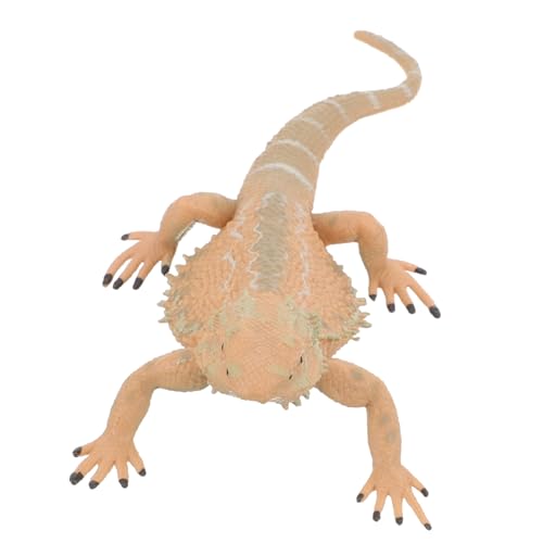 Supvox Realistische Bearded Dragon Figurine Kunststoff Echsenmodell Pädagogisches Kinderspielzeug Lernspiel Reptilien Dekoration Gartenfigur Supvox Realistische Bearded Dragon Figurine Kunststoff Echsenmodell Pädagogisches Kinderspielzeug Lernspiel Reptilien Dekoration Gartenfigur von Supvox
