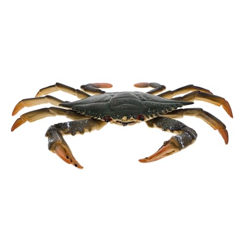 Supvox Realistische Krabbenfigur Pädagogisches Modell Robust und Leicht als Lernspielzeug und Dekoration für Kinderzimmer Supvox Realistische Krabbenfigur Pädagogisches Modell Robust und Leicht als Lernspielzeug und Dekoration für Kinderzimmer von Supvox