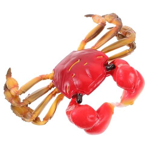 Supvox Realistische Kunststoff Krabbenfigur Meerestiere Deko Figur Lifelike Lernspielzeug für Schreibtisch Zimmer Aquarium von Supvox