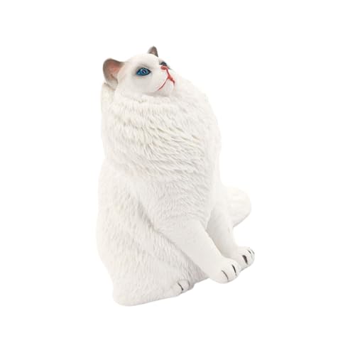 Supvox Realistische Weiße Katzenfigur aus Robustem Kunststoff Pädagogisches Modell für Vielseitiges Lernspielzeug und Dekoratives Haustier Diorama für Zuhause und Schule von Supvox