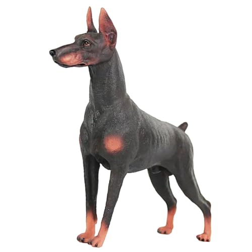 Supvox Realistisches Doberman Tierfigur aus Robustem Kunststoff Pädagogisches Modell für Lebensechte Hunde nachbildung Lernspielzeug Fantasie und Neugier von Supvox