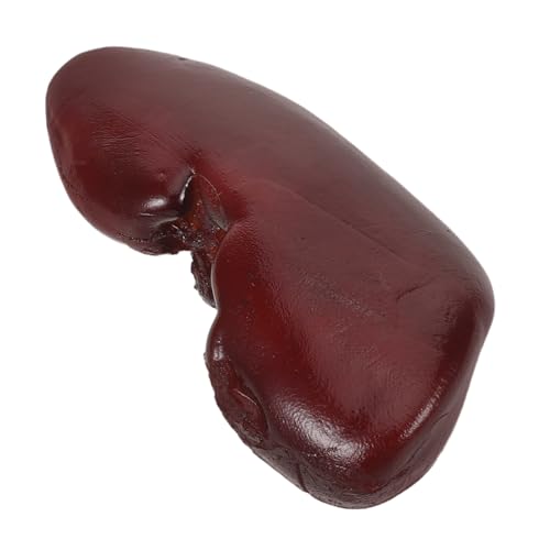 Supvox Realistisches Halloween Schweine-nieren mit Detailgetreuem Design für Cosplay Partydekoration Gruselhäuser und Puppenhaus Zubehör Vielseitig als Scherzartikel und Food Modell von Supvox